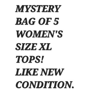 Mystery 5 Women's Tops Bundle - XL Assorted Colors, Brands, Like New Condition